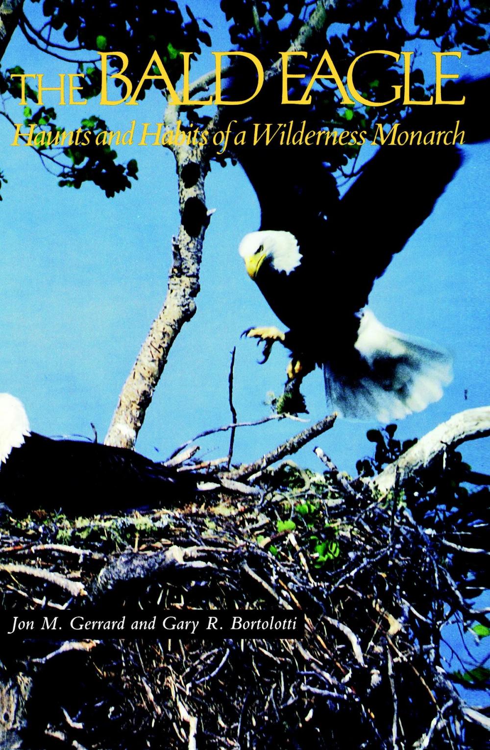 Big bigCover of The Bald Eagle