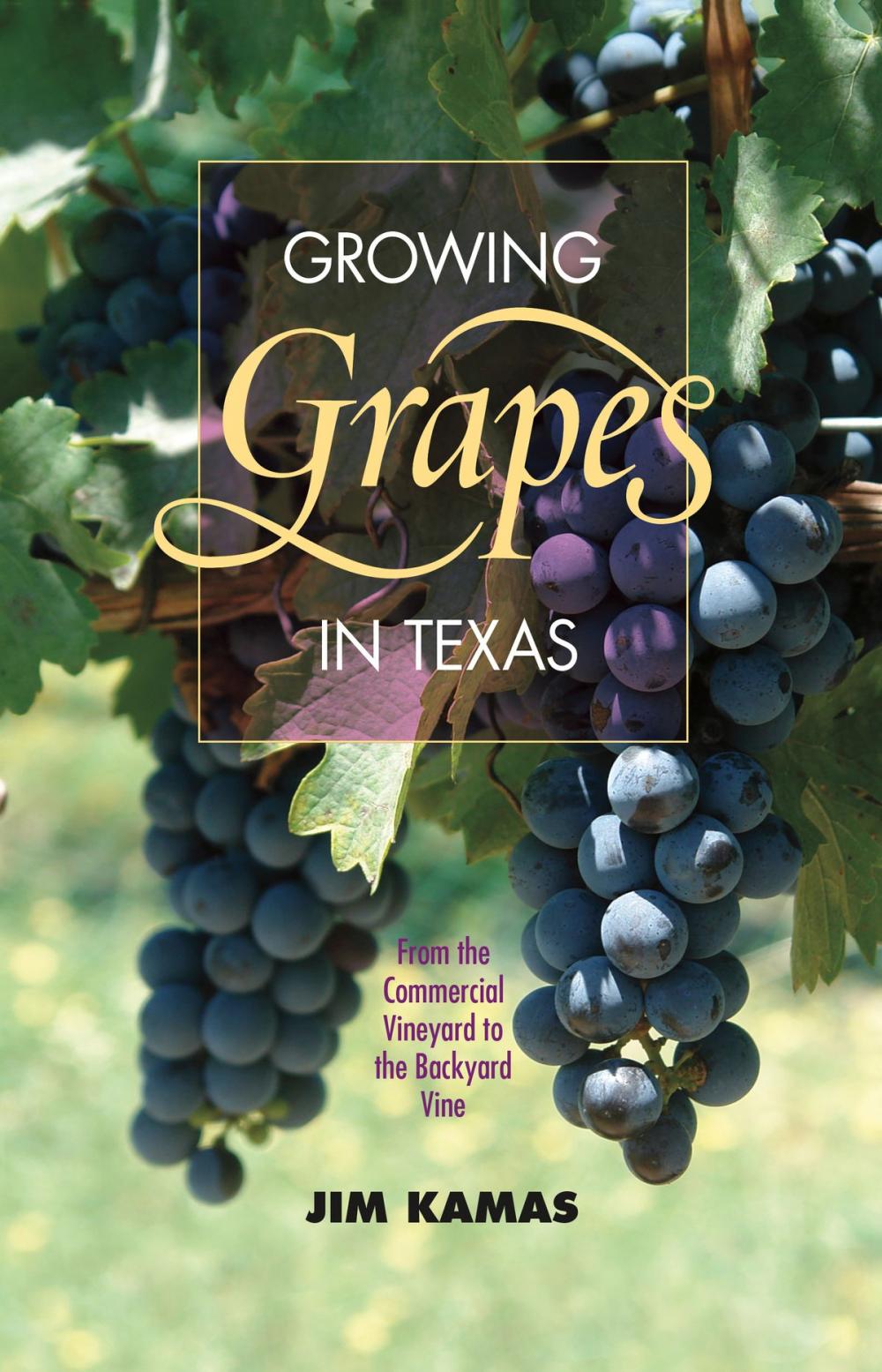 Big bigCover of Growing Grapes in Texas