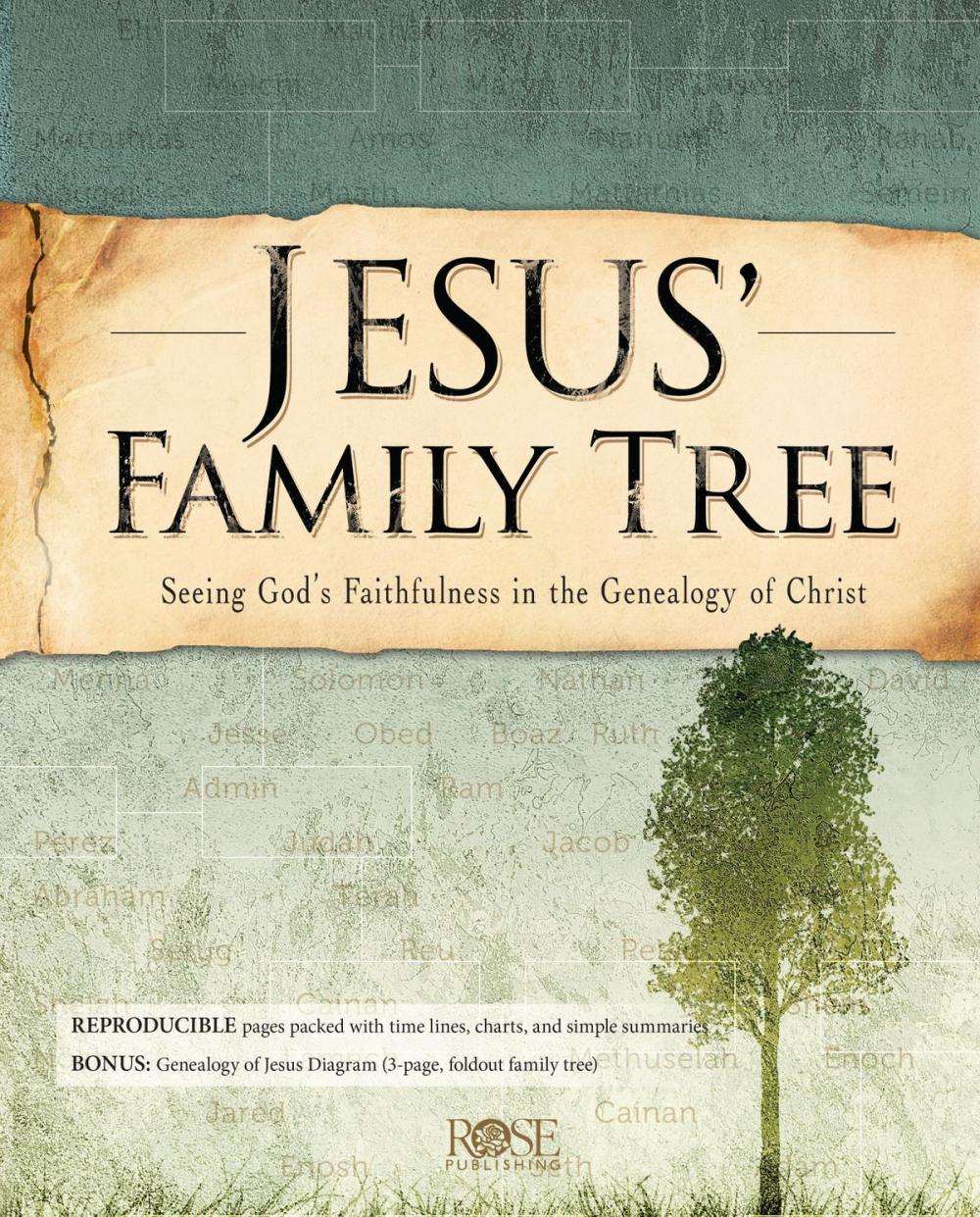 Big bigCover of Jesus' Family Tree: Seeing God's Faithfulness In the Genealogy of Christ
