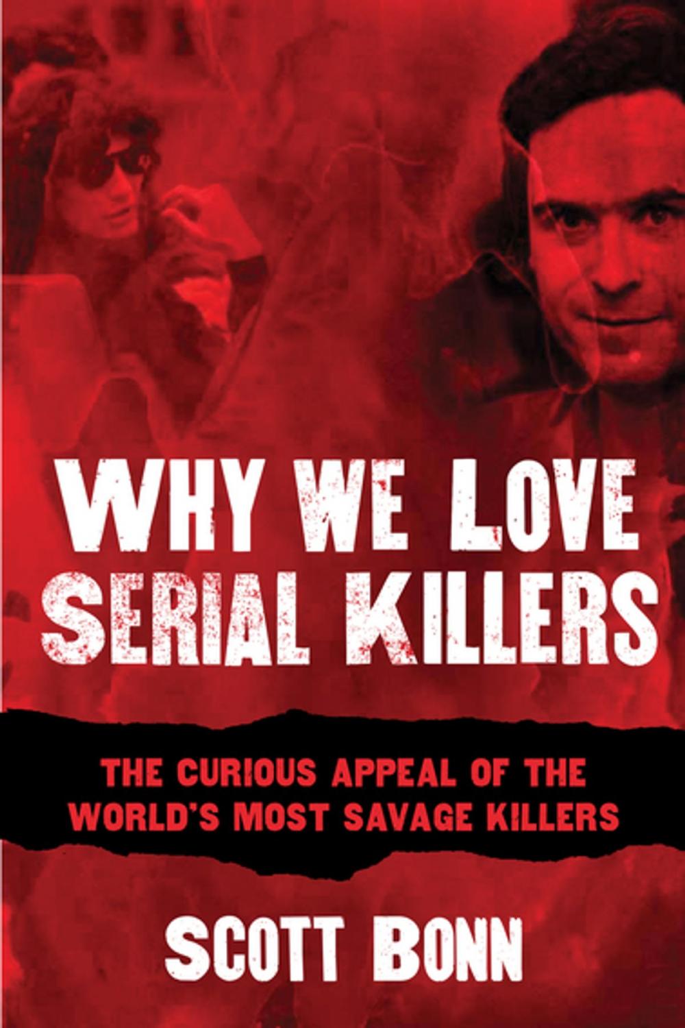 Big bigCover of Why We Love Serial Killers