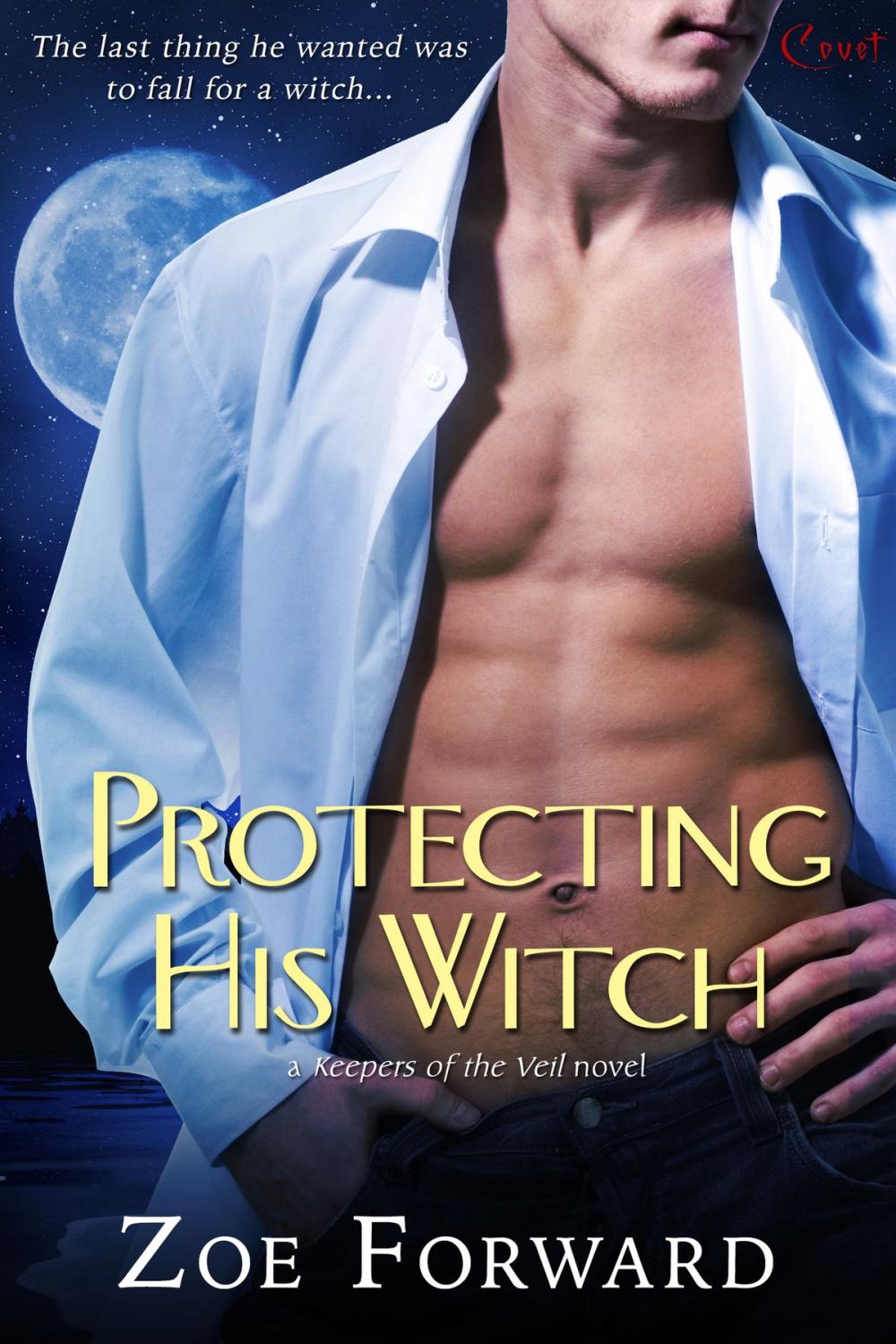 Big bigCover of Protecting His Witch