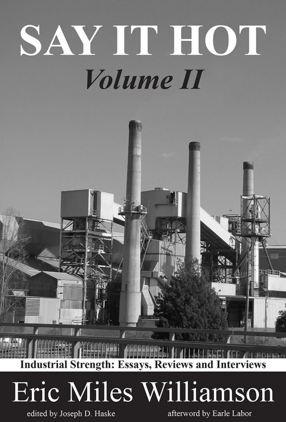 Big bigCover of Say It Hot, Volume II: Industrial Strength