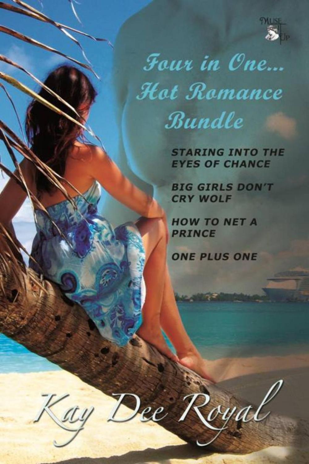 Big bigCover of Four in One Hot Romance Bundle