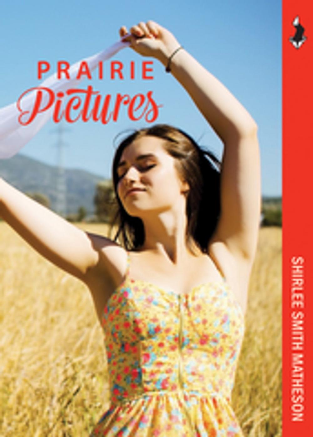 Big bigCover of Prairie Pictures
