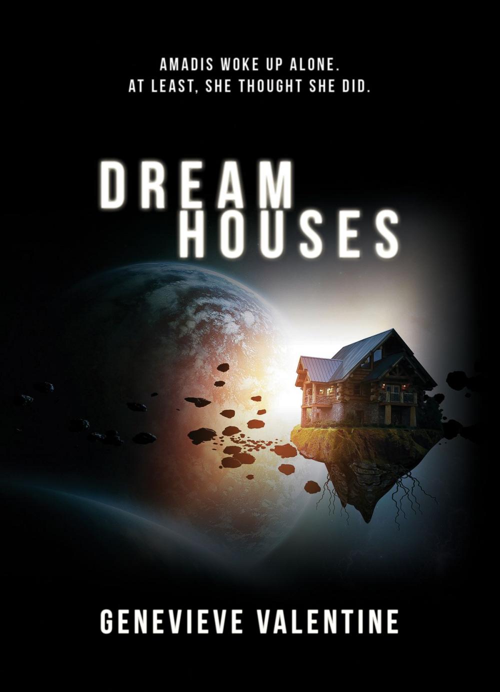 Big bigCover of Dream Houses