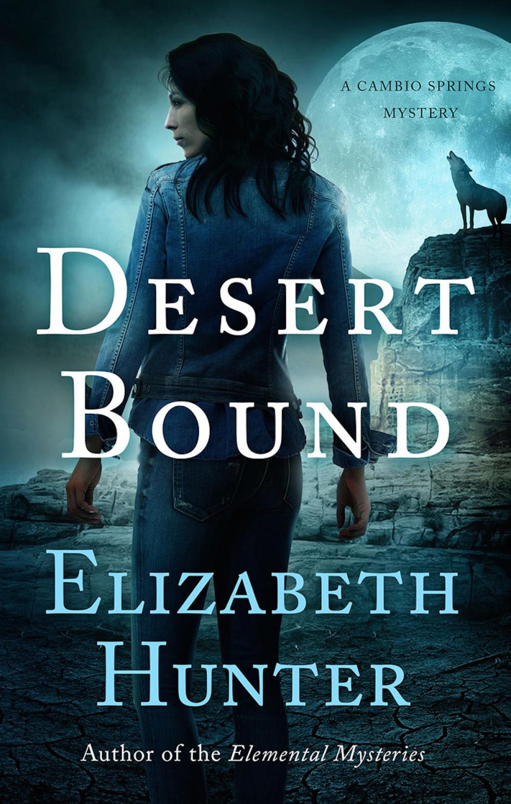 Big bigCover of Desert Bound: A Cambio Springs Mystery