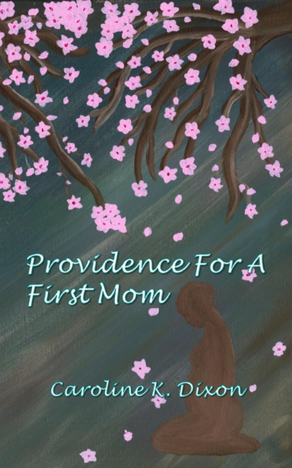 Big bigCover of Providence For a First Mom