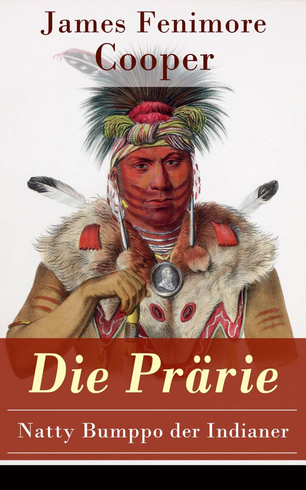 Big bigCover of Die Prärie - Natty Bumppo der Indianer
