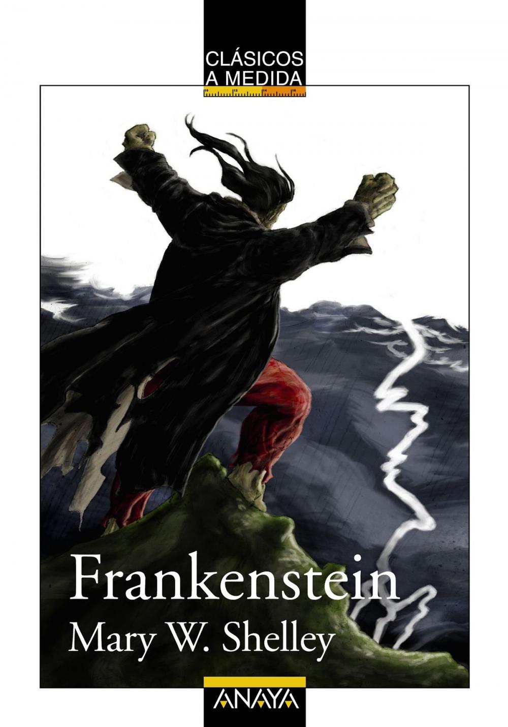 Big bigCover of Frankenstein
