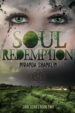 Cover of the book Soul Redemption (Soul Series Book 2) by Lee Isserow
