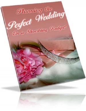 Cover of the book Planning The Perfect Wedding on a Shoestring Budget by Donald K Dewey