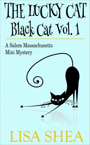 Cover of the book The Lucky Cat - Black Cat Vol. 1 - A Salem Massachusetts Mini Mystery by Lucy Quinn