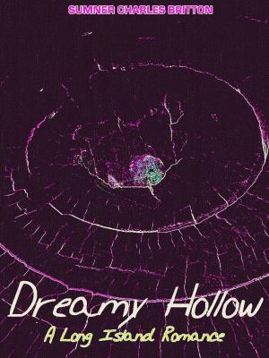 Book cover of Dreamy Hollow