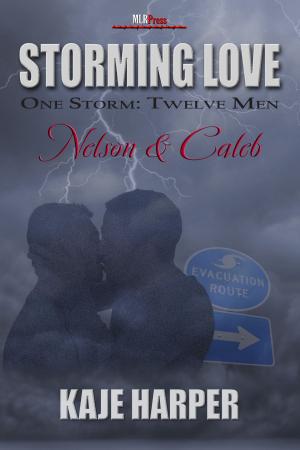 Book cover of Storming Love: Nelson & Caleb