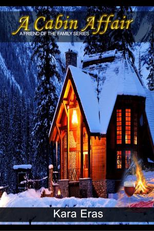 Cover of the book A Cabin Affair by Darci Balogh