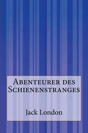 Cover of the book Abenteurer des Schienenstranges by Franz Kafka