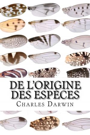 Cover of the book De l'Origine des espèces by James Fenimore Cooper