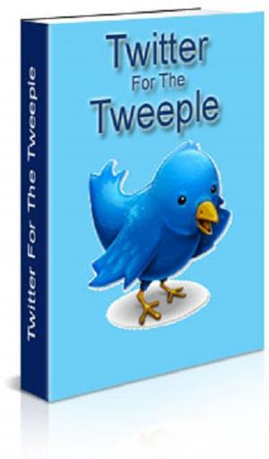 bigCover of the book Twitter For The Tweeple by 