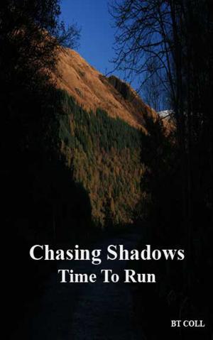 Cover of the book Chasing Shadows by Bernadette Coll