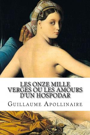 Cover of the book Les Onze mille verges ou les Amours d'un hospodar by Franz Kafka