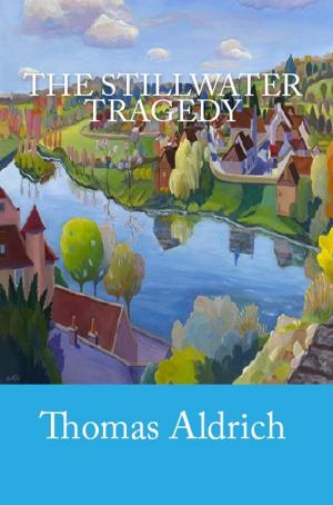 Book cover of The Stillwater Tragedy