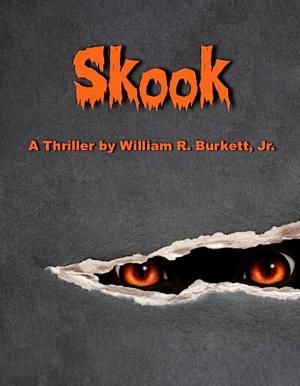 Cover of the book Skook by Simone van der Vlugt