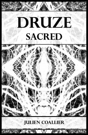 Cover of the book Druze by Julien Leclaire