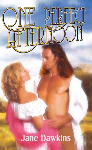 Book cover of One Perfect Afternoon