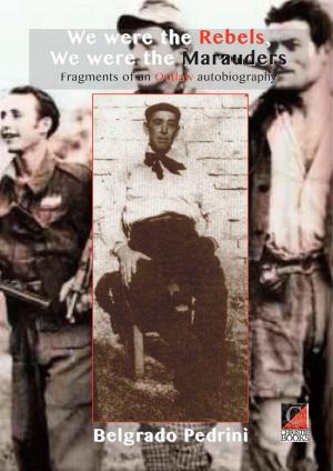 Cover of the book WE WERE THE REBELS, WE WERE THE MARAUDERS by Luigi Fabbri