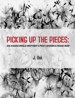 Cover of the book PICKING UP THE PIECES by Joanna Dolgoff