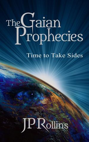 Cover of the book Time To Take Sides by Laurie Olerich