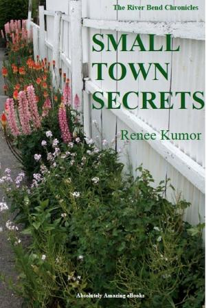 Cover of the book Small Town Secrets by H.A. Burns