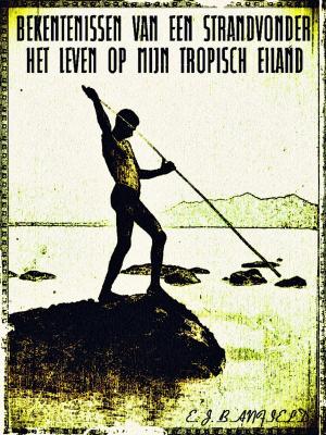 Book cover of Bekentenissen van een strandvonder