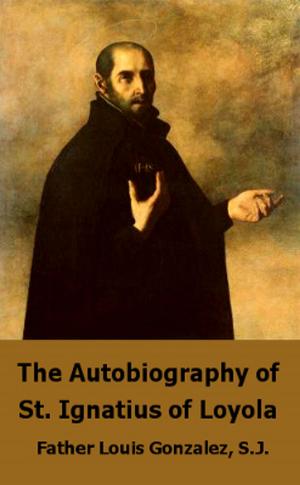 Book cover of The Autobiography of St. Ignatius Loyola