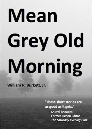 Cover of the book Mean Grey Old Morning by Henry Lee