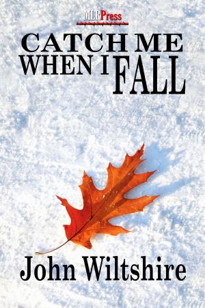 Cover of the book Catch Me When I Fall by J.P. Bowie