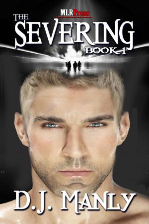 Cover of the book The Severing by Shawn Bailey
