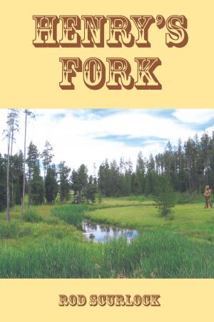 bigCover of the book Henry’s Fork by 