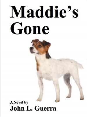 Book cover of Maddie’s Gone