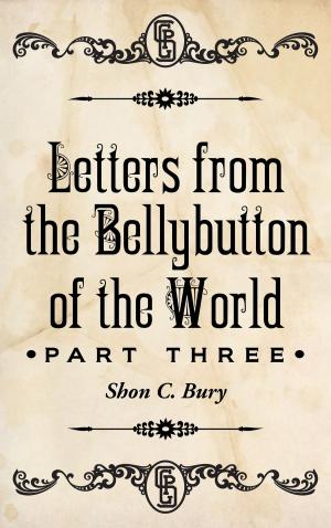 bigCover of the book Letters from the Bellybutton of the World by 