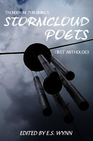 Cover of Stormcloud Poets #1