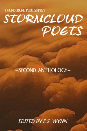 Cover of Stormcloud Poets #2