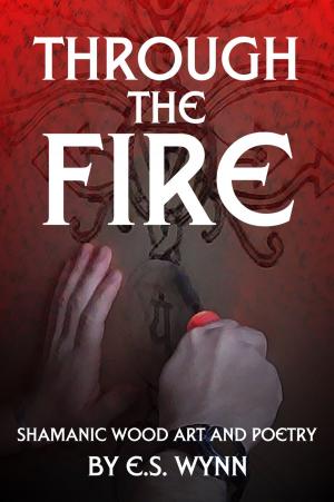 Cover of the book Through The Fire by Gudrun Lindstrom - Nirupa Devi - Sandrine Bessancort