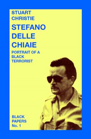 Cover of the book STEFANO DELLE CHIAIE by Joaquín Pérez Navarro