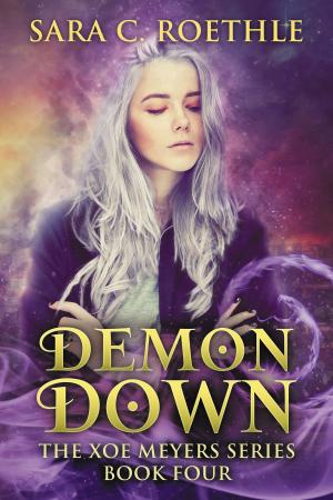 Book cover of Demon Down