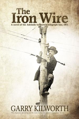 Cover of the book The Iron Wire by Kaitlin Queen