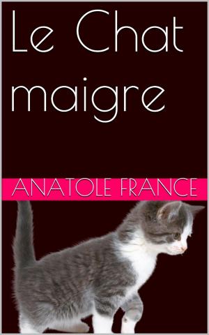 Book cover of Le Chat maigre