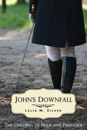 Cover of the book John's Downfall by Bruce Hanna