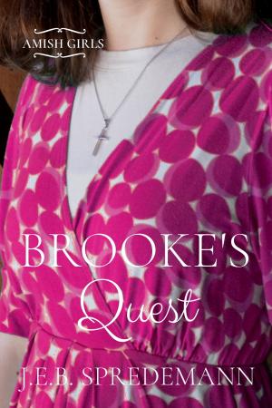 Book cover of Brooke's Quest (Amish Girls Series - Book 7)