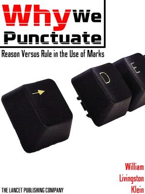 bigCover of the book Why We Punctuate by 